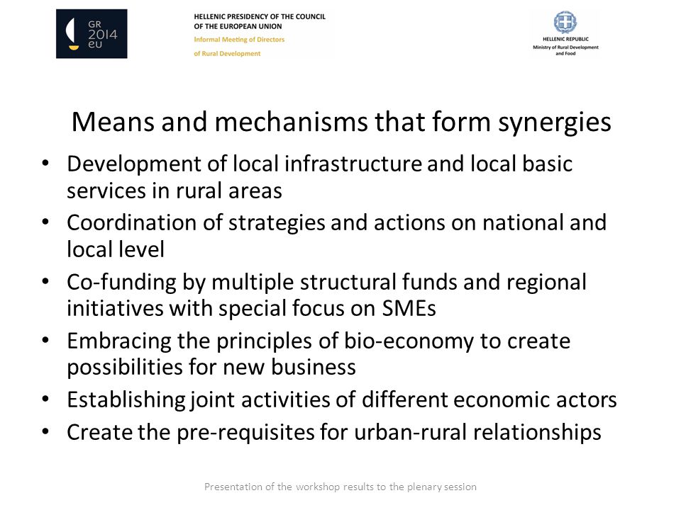 Means and mechanisms that form synergies Development of local infrastructure and local basic services in rural areas Coordination of strategies and actions on national and local level Co-funding by multiple structural funds and regional initiatives with special focus on SMEs Embracing the principles of bio-economy to create possibilities for new business Establishing joint activities of different economic actors Create the pre-requisites for urban-rural relationships Presentation of the workshop results to the plenary session