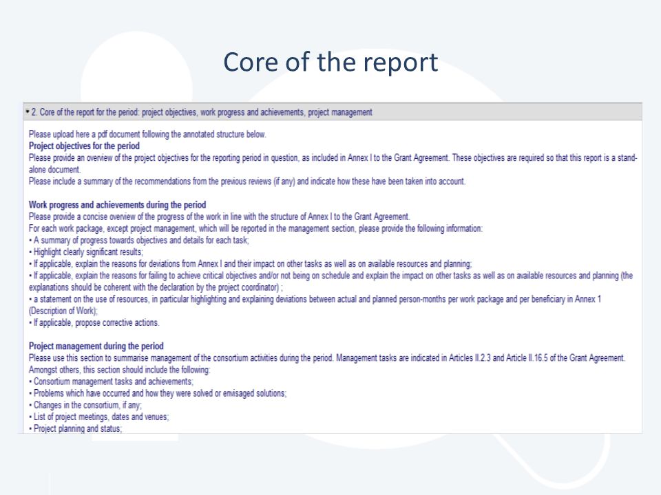 Core of the report