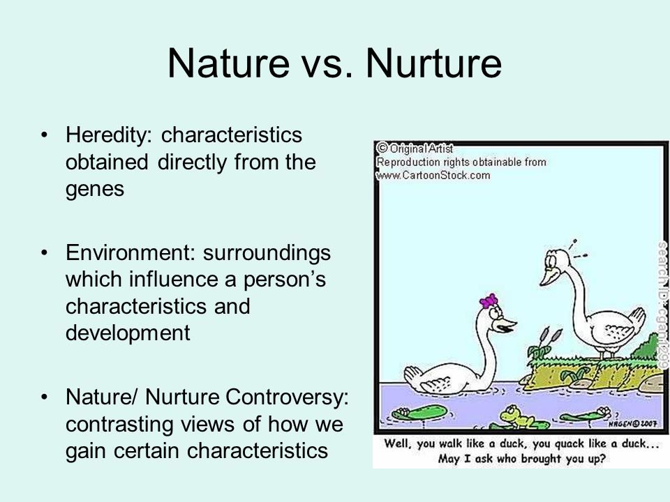 Nature Vs Nurture Essays