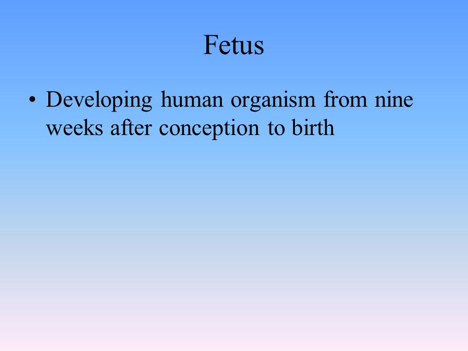 Fetus Developing human organism from nine weeks after conception to birth