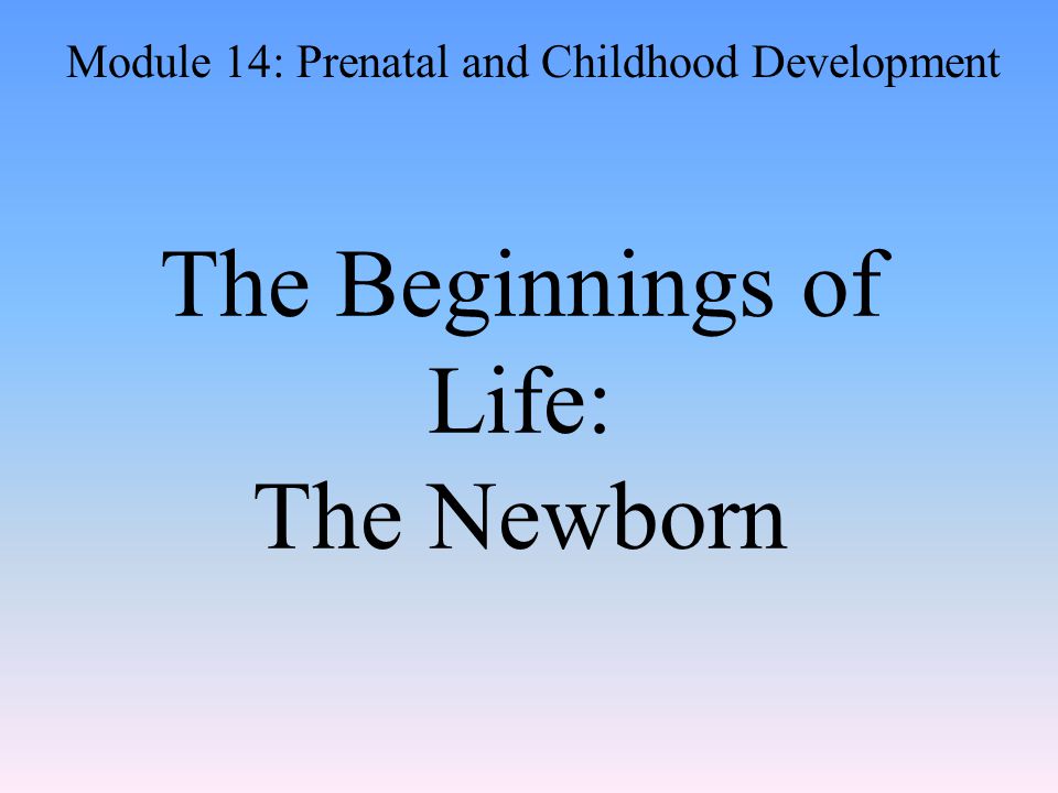The Beginnings of Life: The Newborn Module 14: Prenatal and Childhood Development