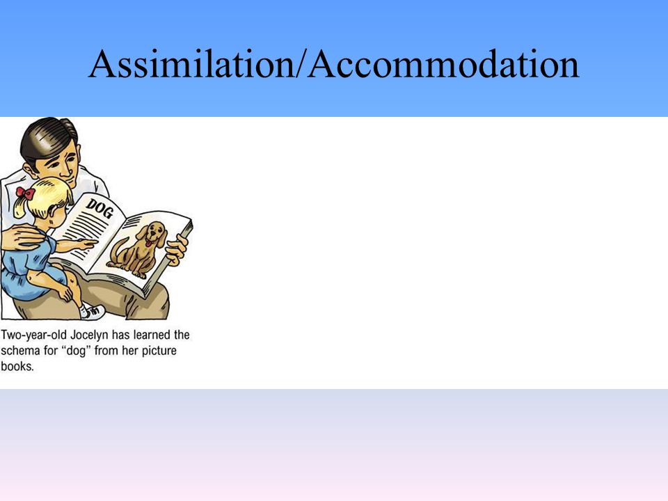 Assimilation/Accommodation