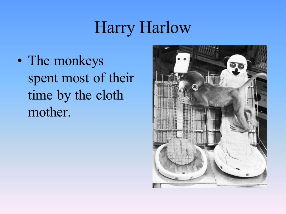 Harry Harlow The monkeys spent most of their time by the cloth mother.