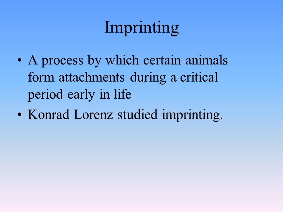 Imprinting A process by which certain animals form attachments during a critical period early in life Konrad Lorenz studied imprinting.