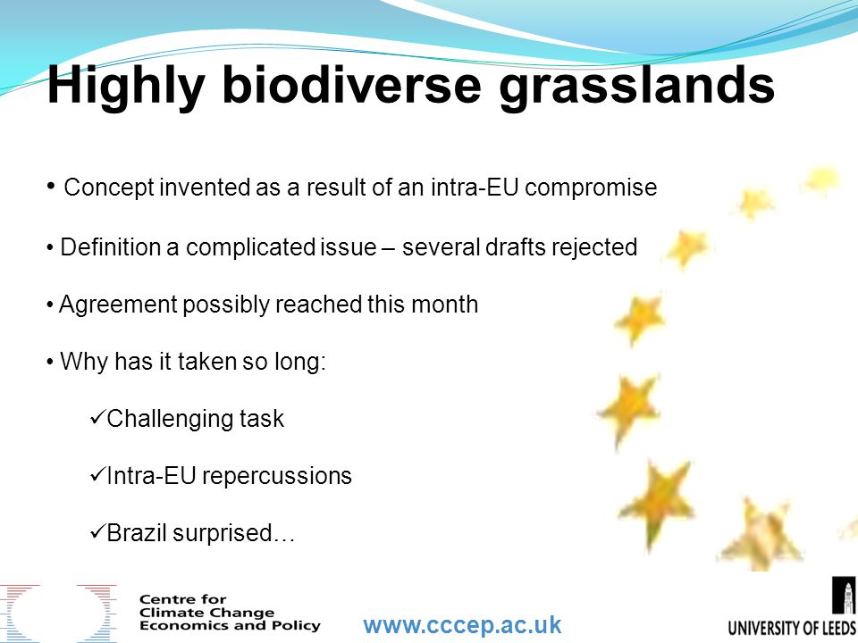 Highly biodiverse grasslands Concept invented as a result of an intra-EU compromise Definition a complicated issue – several drafts rejected Agreement possibly reached this month Why has it taken so long: Challenging task Intra-EU repercussions Brazil surprised…