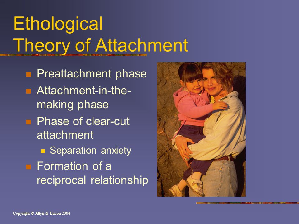 Copyright © Allyn & Bacon 2004 Ethological Theory of Attachment Preattachment phase Attachment-in-the- making phase Phase of clear-cut attachment Separation anxiety Formation of a reciprocal relationship