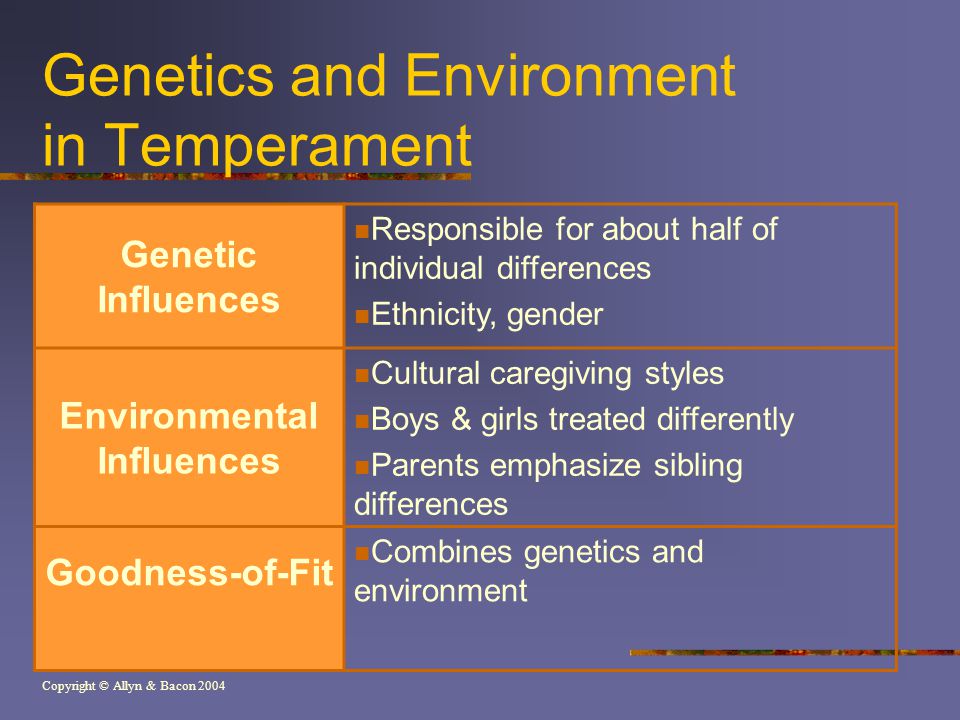 Copyright © Allyn & Bacon 2004 Genetics and Environment in Temperament Genetic Influences Responsible for about half of individual differences Ethnicity, gender Environmental Influences Cultural caregiving styles Boys & girls treated differently Parents emphasize sibling differences Goodness-of-Fit Combines genetics and environment