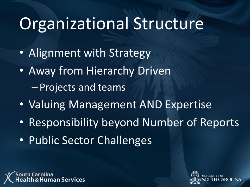 Organizational Structure Alignment with Strategy Away from Hierarchy Driven – Projects and teams Valuing Management AND Expertise Responsibility beyond Number of Reports Public Sector Challenges