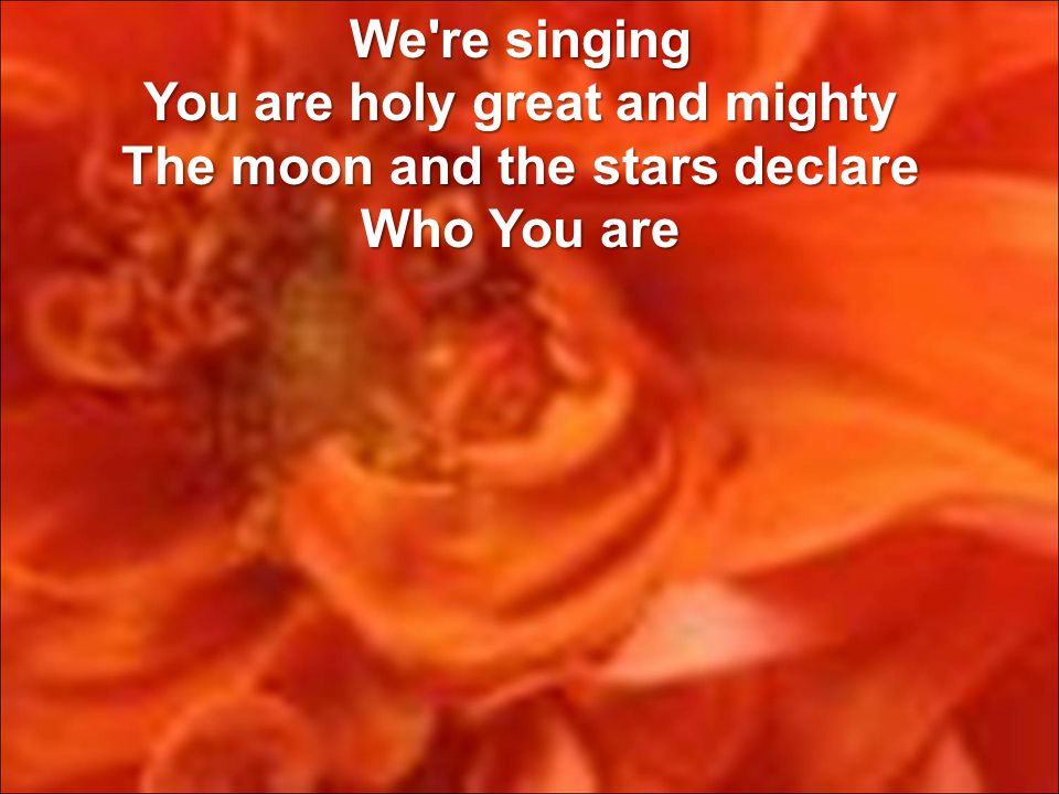 We re singing You are holy great and mighty The moon and the stars declare Who You are