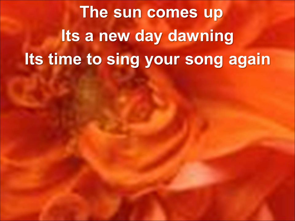 The sun comes up The sun comes up Its a new day dawning Its time to sing your song again