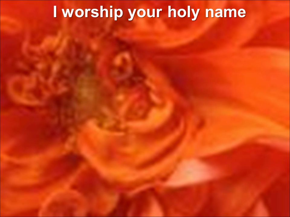 I worship your holy name I worship your holy name