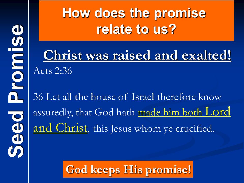 Seed Promise How does the promise relate to us. Christ was raised and exalted.