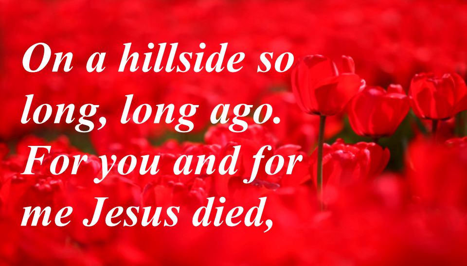 On a hillside so long, long ago. For you and for me Jesus died,