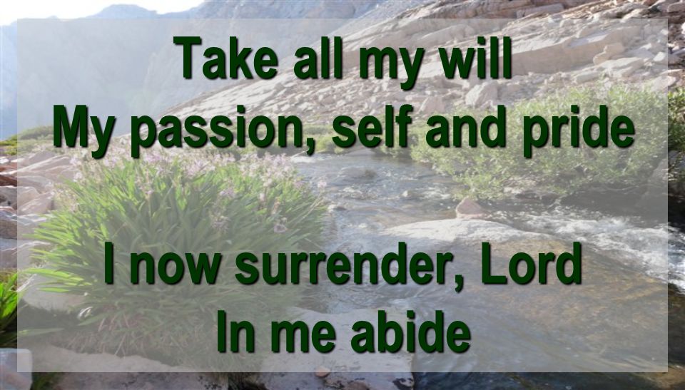 Take all my will My passion, self and pride I now surrender, Lord In me abide