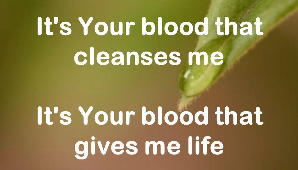 It s Your blood that cleanses me It s Your blood that gives me life