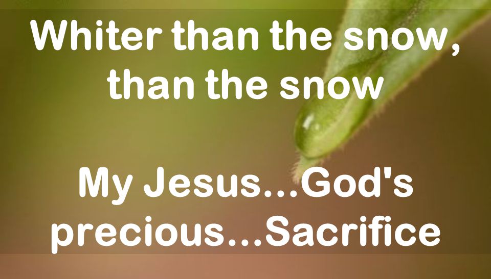 Whiter than the snow, than the snow My Jesus...God s precious...Sacrifice