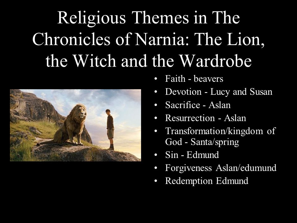 essay questions on the lion the witch and the wardrobe essay questions on the lion the witch and the wardrobe
