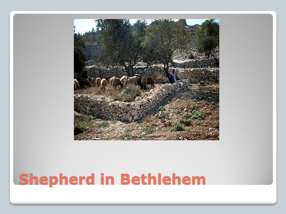 Shepherd in Bethlehem