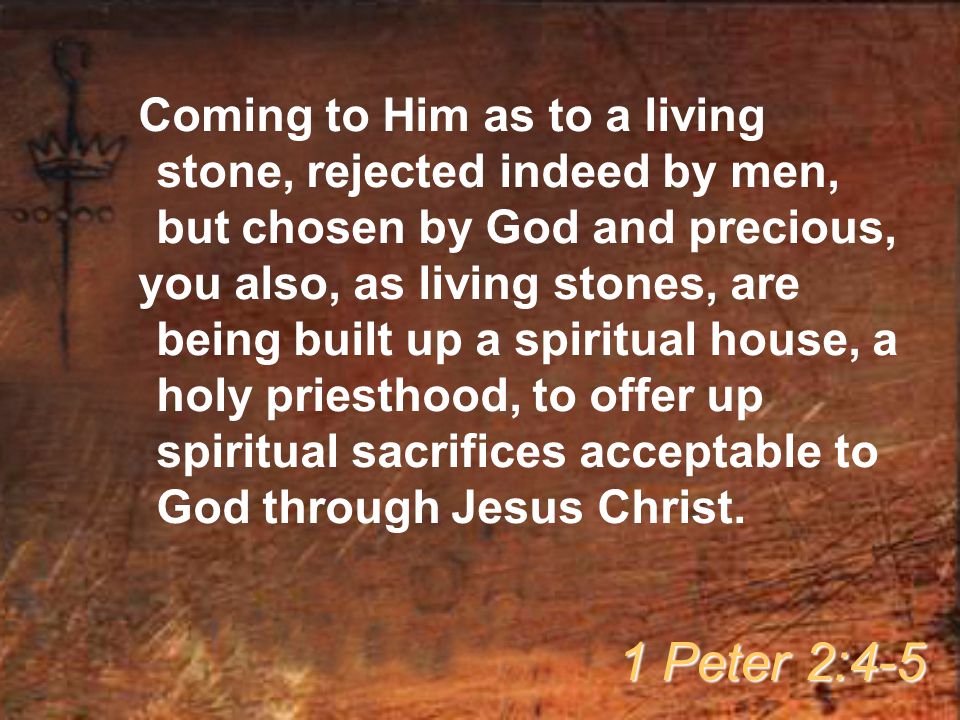 Coming to Him as to a living stone, rejected indeed by men, but chosen by God and precious, you also, as living stones, are being built up a spiritual house, a holy priesthood, to offer up spiritual sacrifices acceptable to God through Jesus Christ.