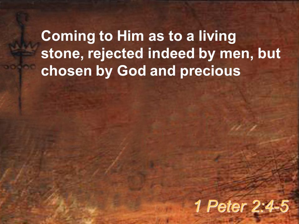 Coming to Him as to a living stone, rejected indeed by men, but chosen by God and precious 1 Peter 2:4-5