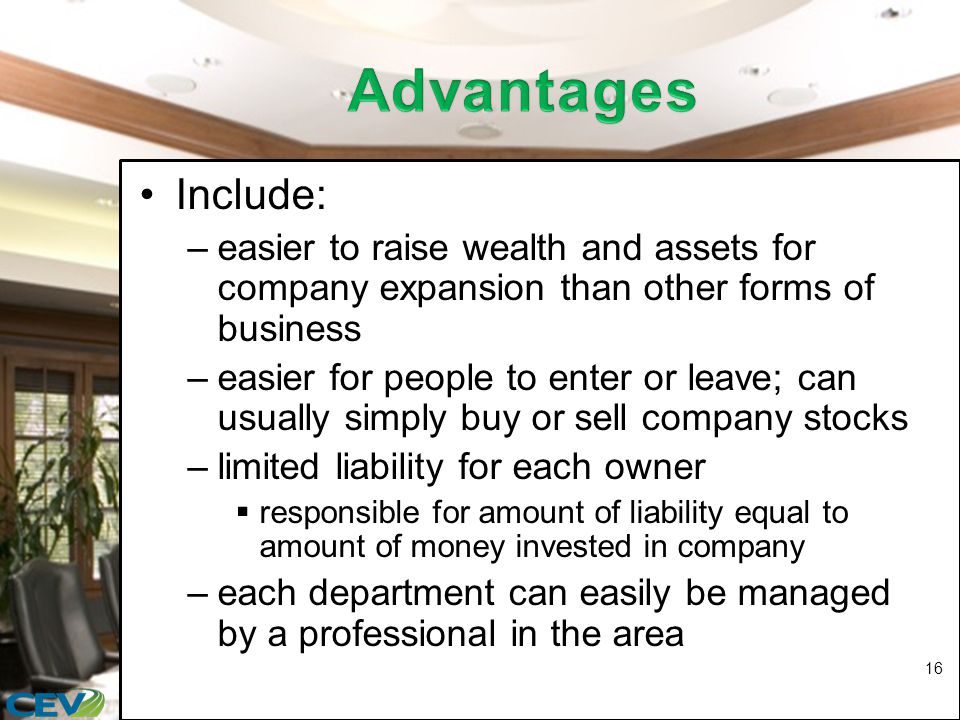 Include: –easier to raise wealth and assets for company expansion than other forms of business –easier for people to enter or leave; can usually simply buy or sell company stocks –limited liability for each owner  responsible for amount of liability equal to amount of money invested in company –each department can easily be managed by a professional in the area 16