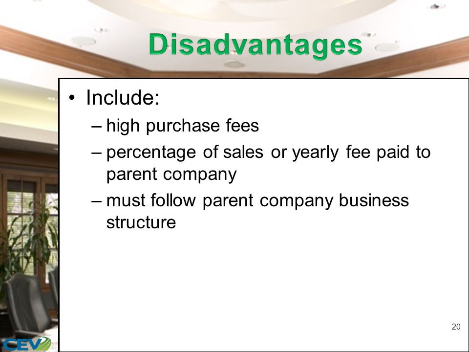 Include: –high purchase fees –percentage of sales or yearly fee paid to parent company –must follow parent company business structure 20