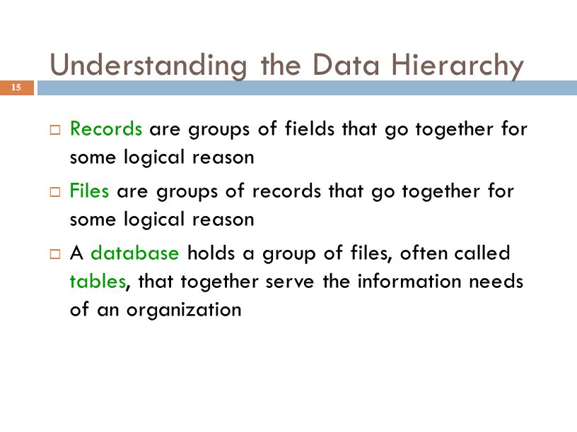 Understanding the Data Hierarchy 15  Records are groups of fields that go together for some logical reason  Files are groups of records that go together for some logical reason  A database holds a group of files, often called tables, that together serve the information needs of an organization
