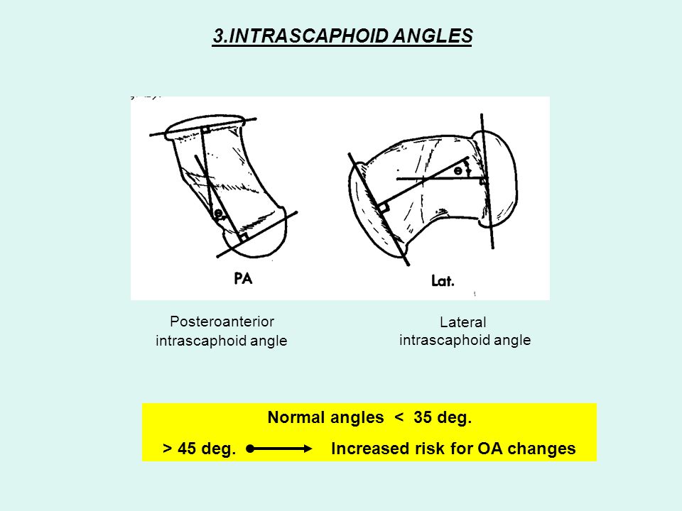 Igo Homework 1 4 Pairs Of Angles Answers To Riddles Essay For You Igo Homework 1 4 Pairs Of Angles Answers To Riddles Image