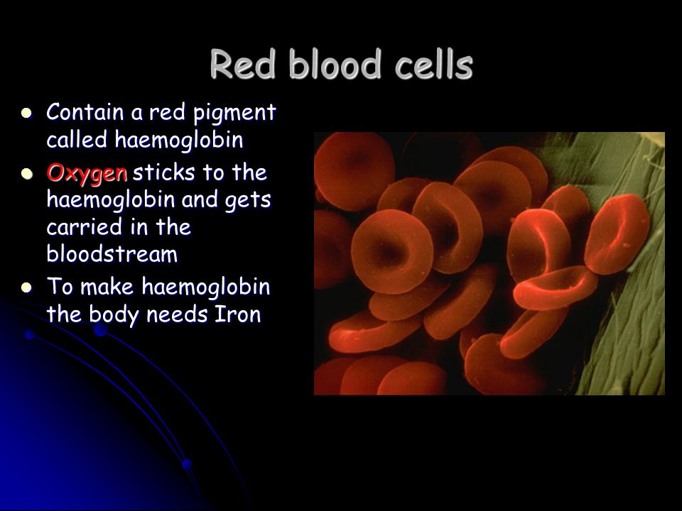 Red blood cells Contain a red pigment called haemoglobin Contain a red pigment called haemoglobin Oxygen sticks to the haemoglobin and gets carried in the bloodstream Oxygen sticks to the haemoglobin and gets carried in the bloodstream To make haemoglobin the body needs Iron To make haemoglobin the body needs Iron