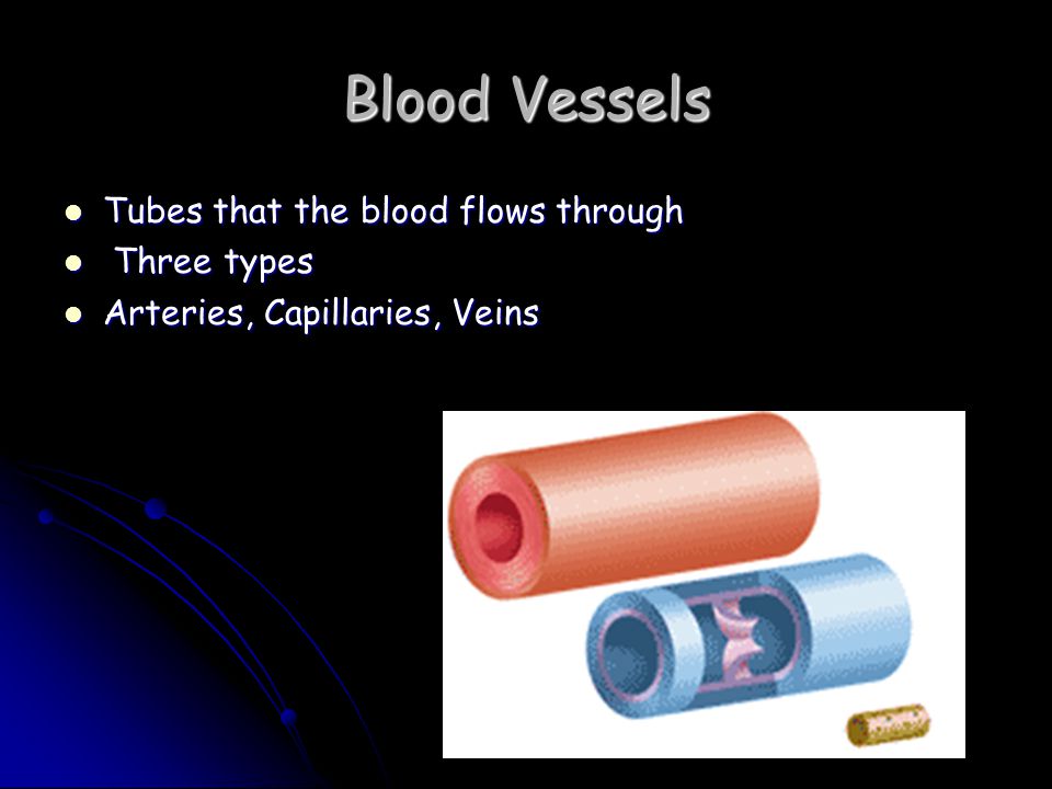 Blood Vessels Tubes that the blood flows through Tubes that the blood flows through Three types Three types Arteries, Capillaries, Veins Arteries, Capillaries, Veins
