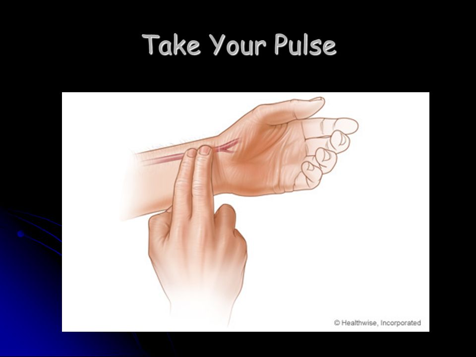 Take Your Pulse