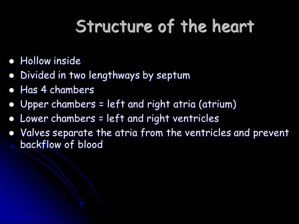 Structure of the heart Hollow inside Hollow inside Divided in two lengthways by septum Divided in two lengthways by septum Has 4 chambers Has 4 chambers Upper chambers = left and right atria (atrium) Upper chambers = left and right atria (atrium) Lower chambers = left and right ventricles Lower chambers = left and right ventricles Valves separate the atria from the ventricles and prevent backflow of blood Valves separate the atria from the ventricles and prevent backflow of blood