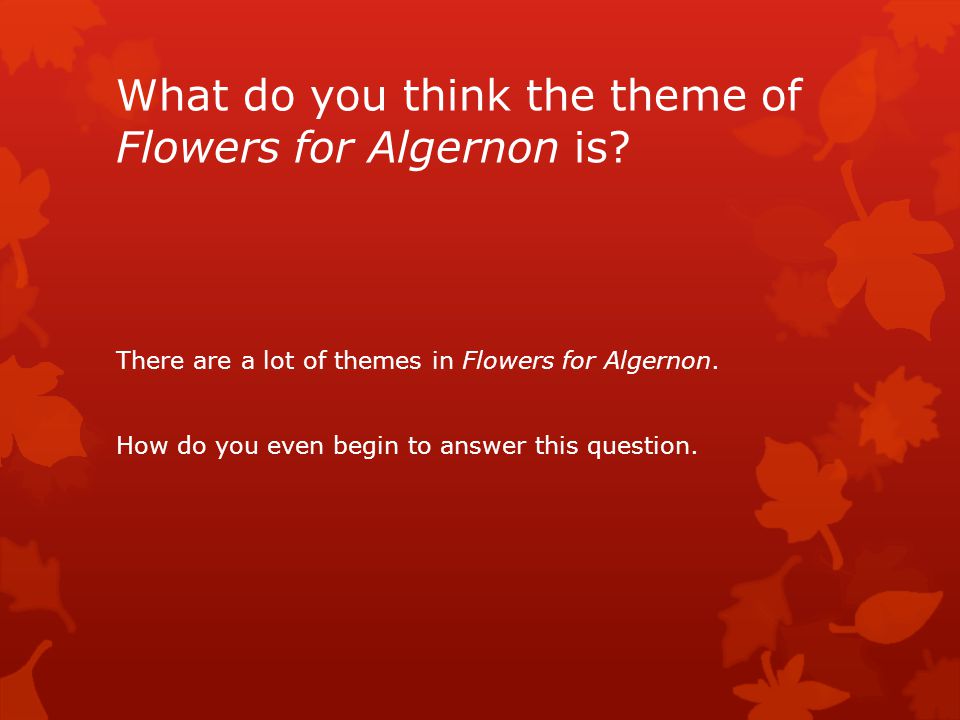 algernon essay flower algernon essay flower