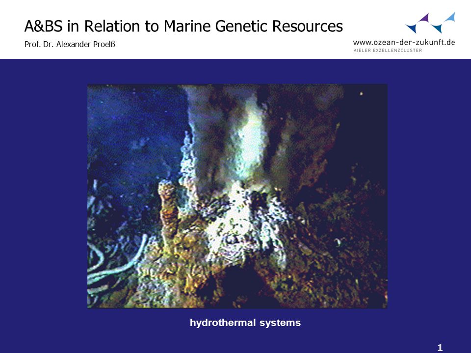 1 A&BS in Relation to Marine Genetic Resources Prof. Dr. Alexander Proelß hydrothermal systems