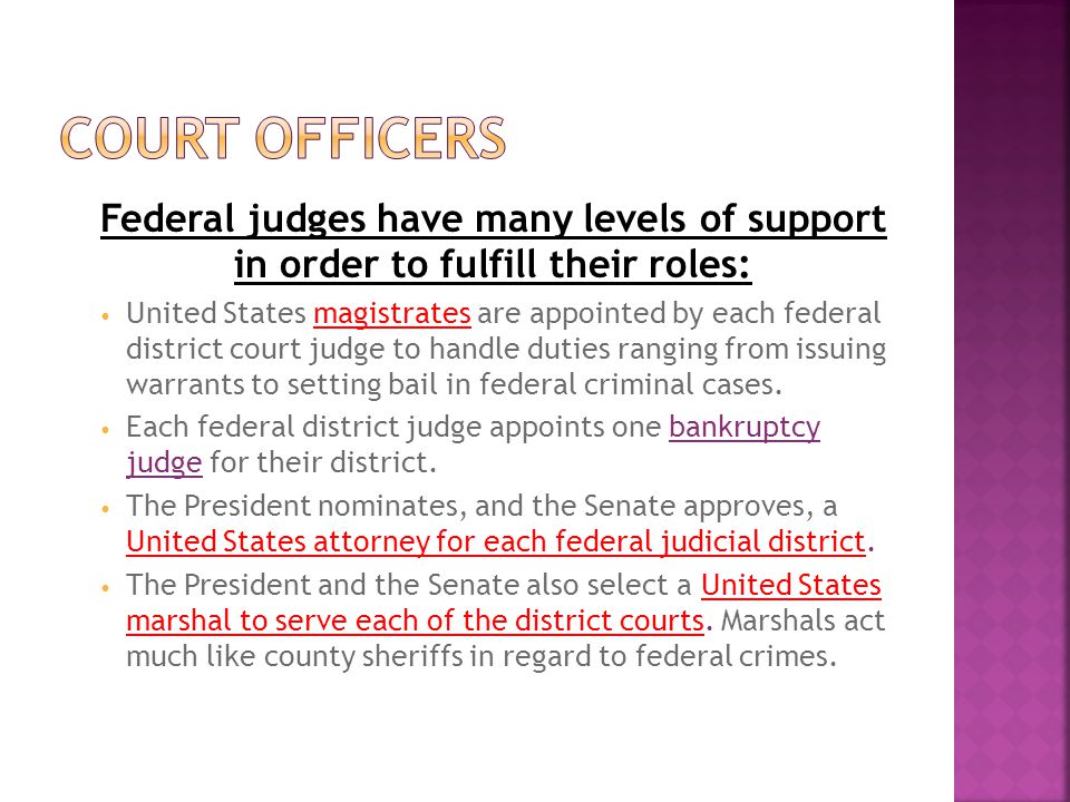 Federal judges have many levels of support in order to fulfill their roles: United States magistrates are appointed by each federal district court judge to handle duties ranging from issuing warrants to setting bail in federal criminal cases.