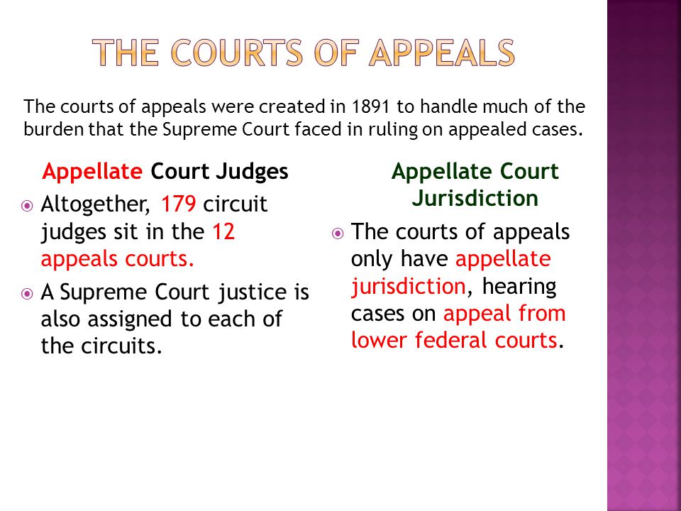 Appellate Court Judges  Altogether, 179 circuit judges sit in the 12 appeals courts.