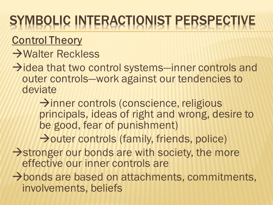 interactionist perspective