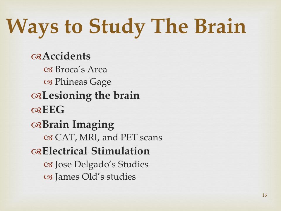 16 Ways to Study The Brain  Accidents  Broca’s Area  Phineas Gage  Lesioning the brain  EEG  Brain Imaging  CAT, MRI, and PET scans  Electrical Stimulation  Jose Delgado’s Studies  James Old’s studies