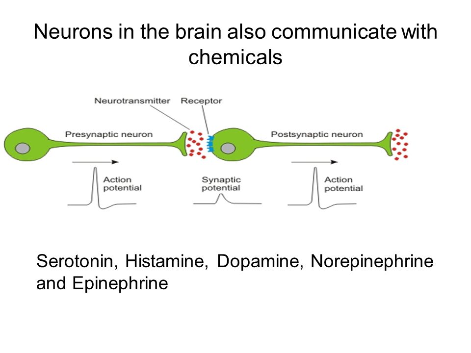 Neurons in the brain also communicate with chemicals Serotonin, Histamine, Dopamine, Norepinephrine and Epinephrine