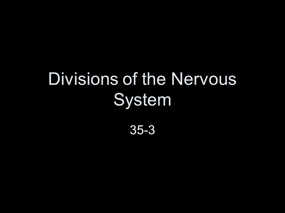 Divisions of the Nervous System 35-3