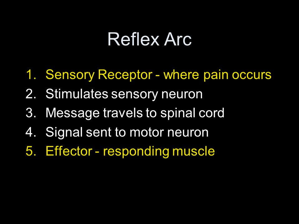 1.Sensory Receptor - where pain occurs 2.Stimulates sensory neuron 3.Message travels to spinal cord 4.Signal sent to motor neuron 5.Effector - responding muscle