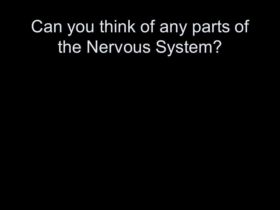 Can you think of any parts of the Nervous System