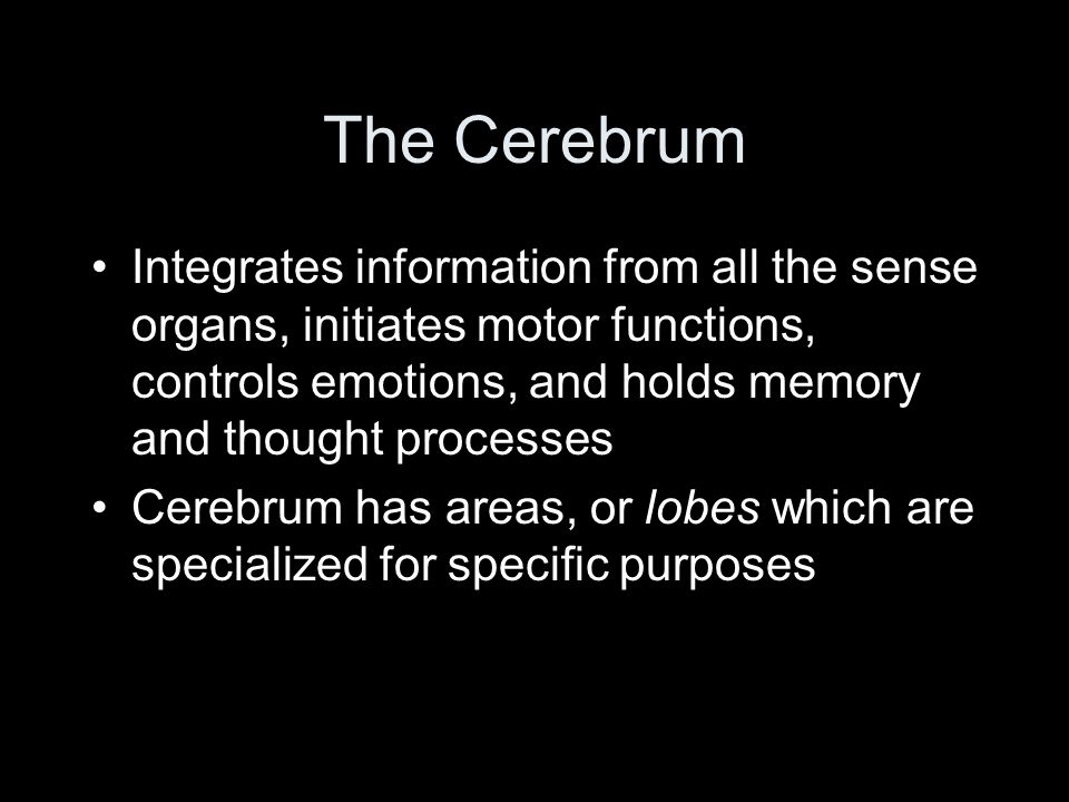 The Cerebrum Integrates information from all the sense organs, initiates motor functions, controls emotions, and holds memory and thought processes Cerebrum has areas, or lobes which are specialized for specific purposes