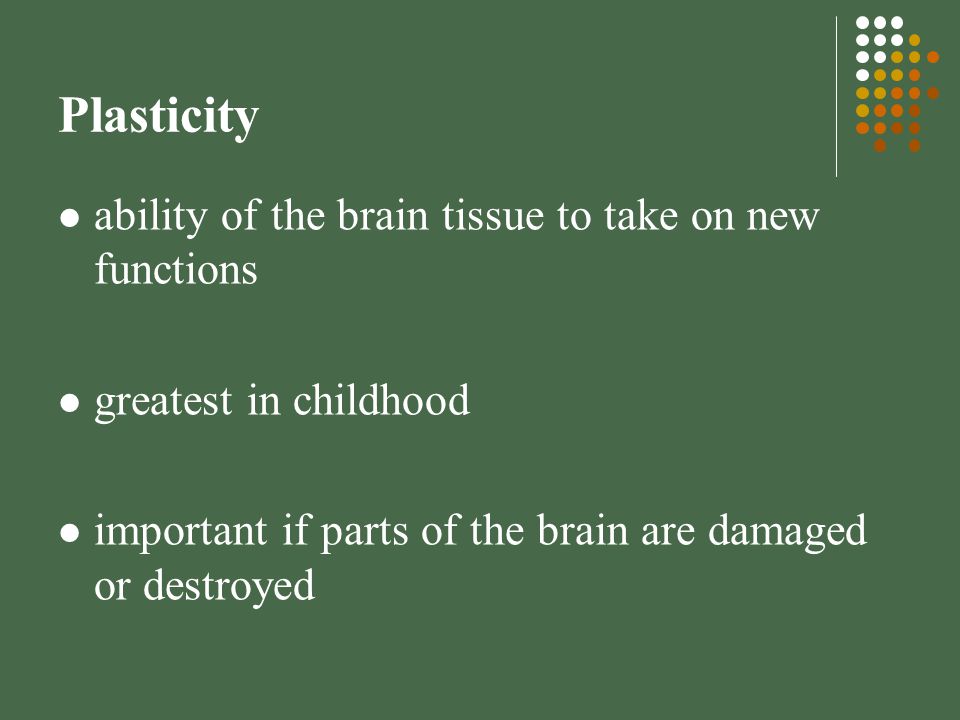 Plasticity ability of the brain tissue to take on new functions greatest in childhood important if parts of the brain are damaged or destroyed