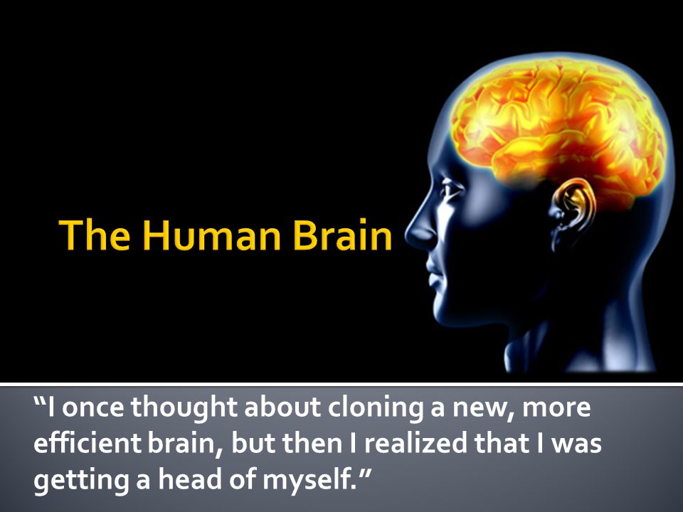 I once thought about cloning a new, more efficient brain, but then I realized that I was getting a head of myself.