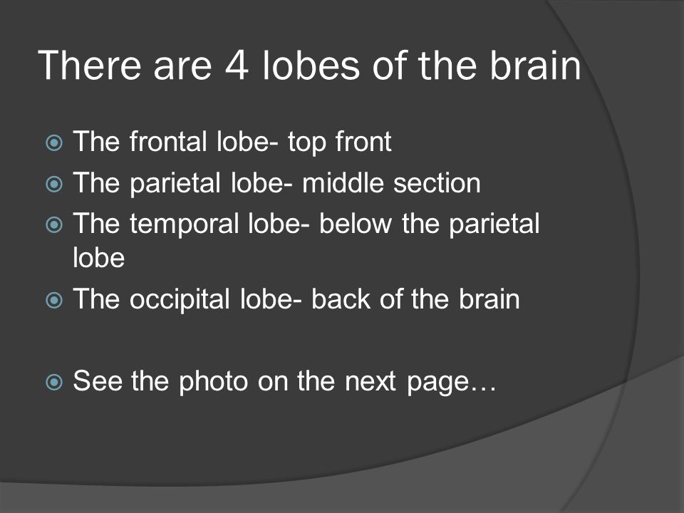 There are 4 lobes of the brain  The frontal lobe- top front  The parietal lobe- middle section  The temporal lobe- below the parietal lobe  The occipital lobe- back of the brain  See the photo on the next page…