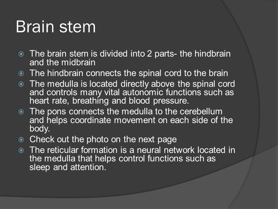 Brain stem  The brain stem is divided into 2 parts- the hindbrain and the midbrain  The hindbrain connects the spinal cord to the brain  The medulla is located directly above the spinal cord and controls many vital autonomic functions such as heart rate, breathing and blood pressure.