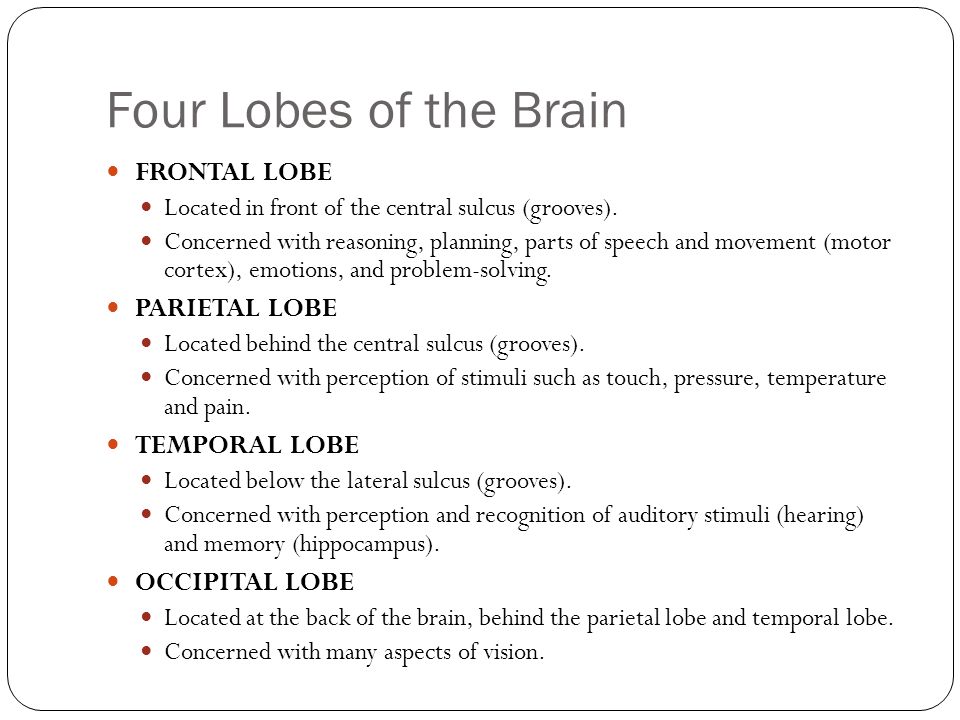 Four Lobes of the Brain FRONTAL LOBE Located in front of the central sulcus (grooves).