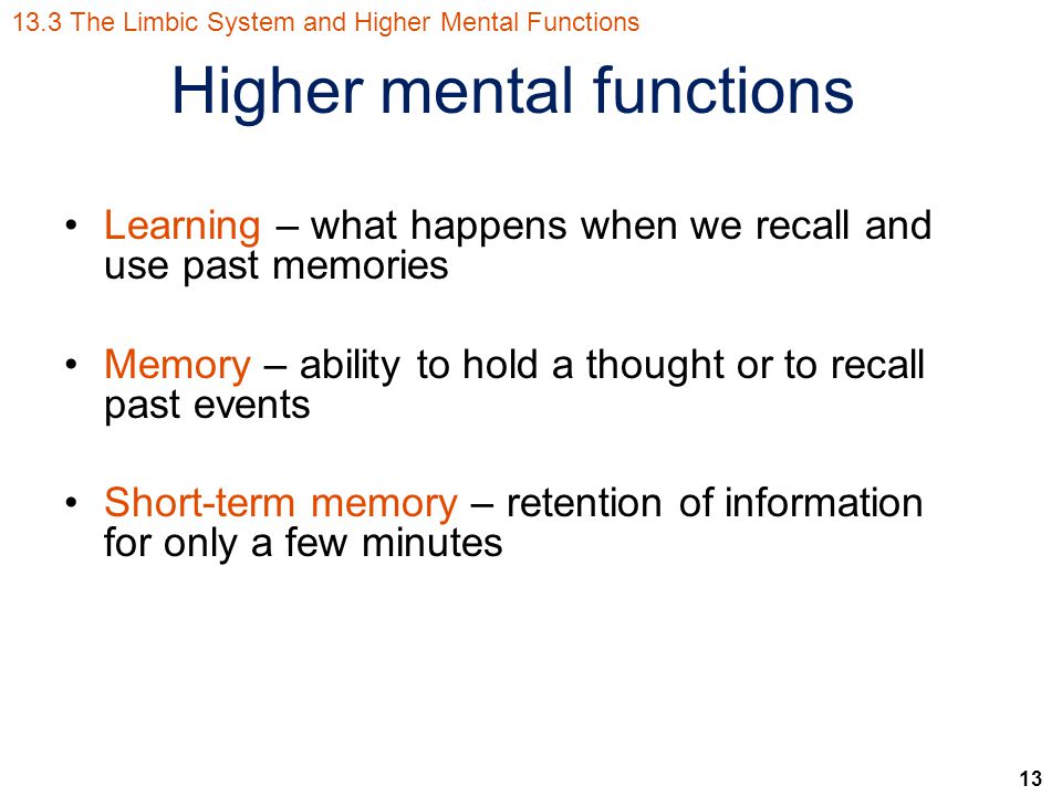 13 Learning – what happens when we recall and use past memories Memory – ability to hold a thought or to recall past events Short-term memory – retention of information for only a few minutes 13.3 The Limbic System and Higher Mental Functions Higher mental functions