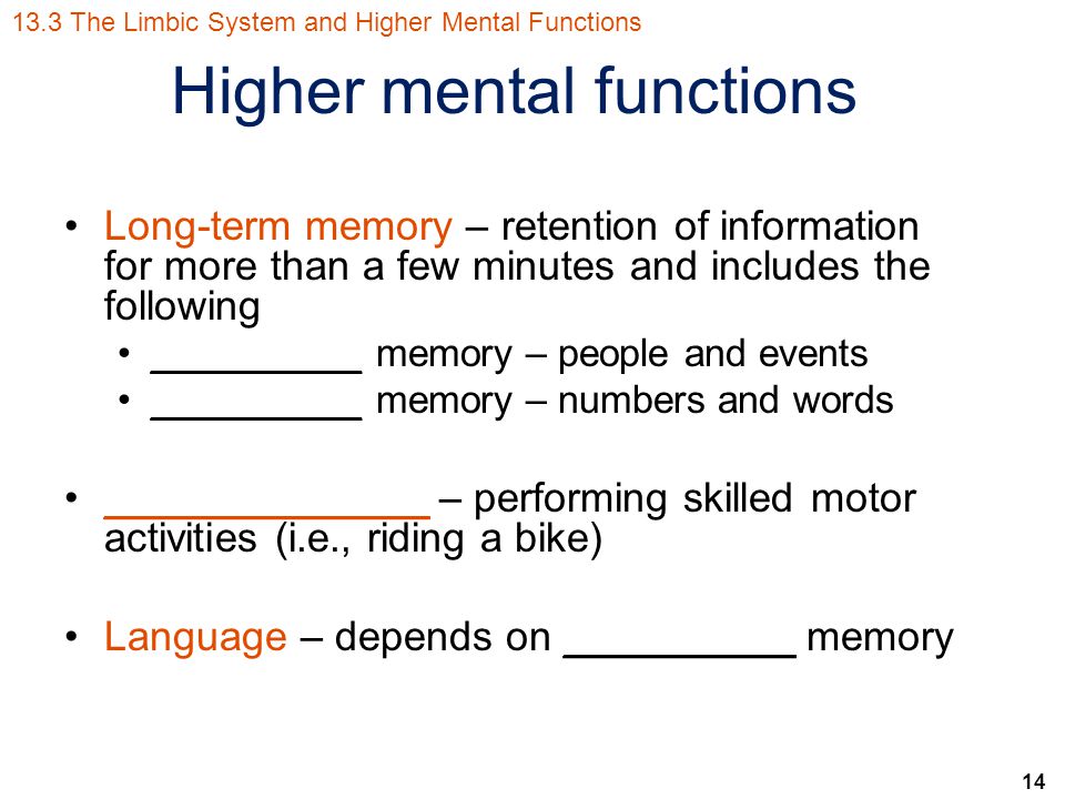 14 Higher mental functions Long-term memory – retention of information for more than a few minutes and includes the following __________ memory – people and events __________ memory – numbers and words ______________ – performing skilled motor activities (i.e., riding a bike) Language – depends on __________ memory 13.3 The Limbic System and Higher Mental Functions